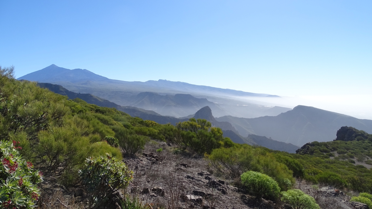 Blick zum Teide