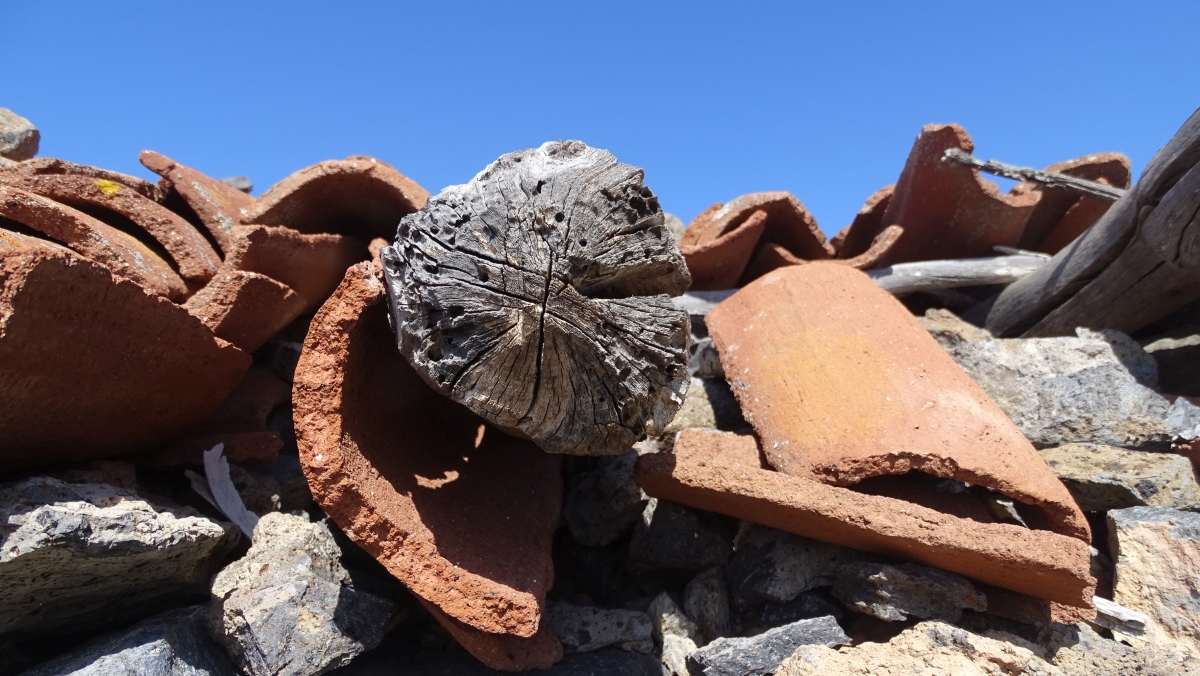 Detail an der Finca Guergues