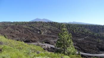 Teide am Horizont