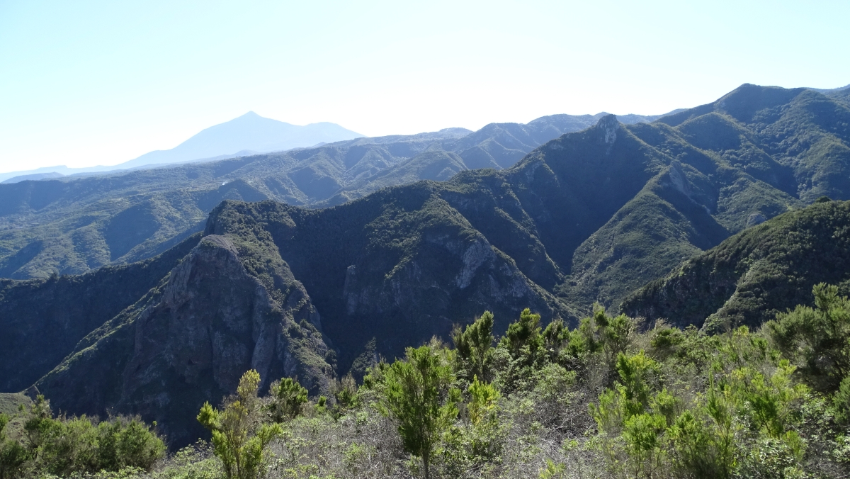 wieder mal der Teide am Horizont