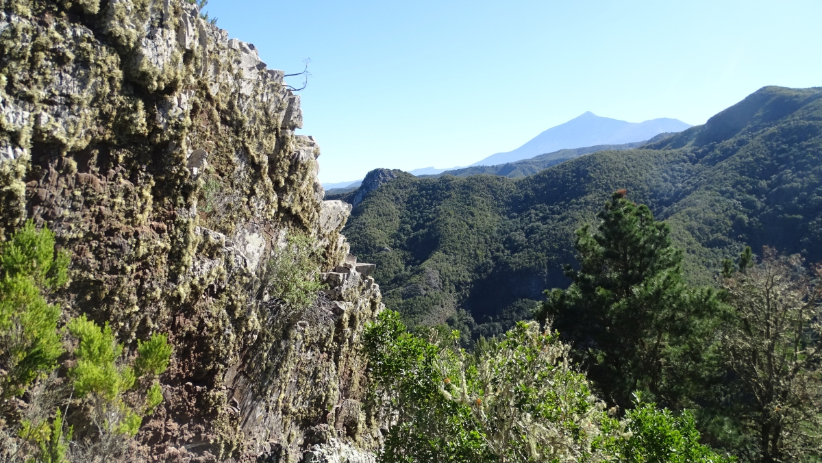 immer wieder mal kommt der Teide hervor