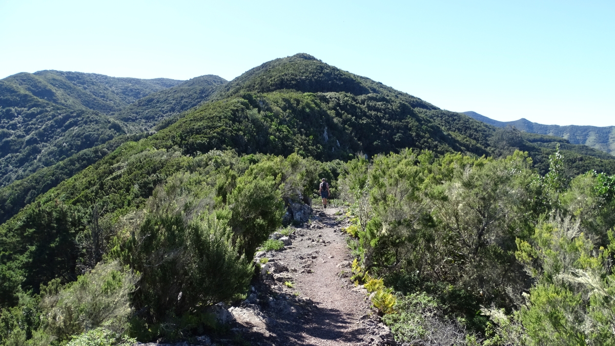 Camino de Talavera