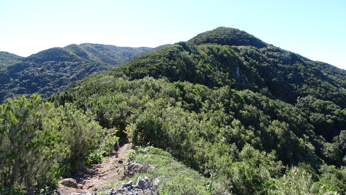 Camino de Talavera