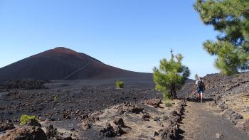 Volcan Chinyero