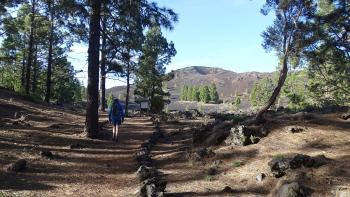 Beginn der Wanderung am Picknickplatz Arenas Negras