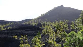 Montaña Negra