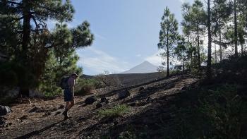 Teide