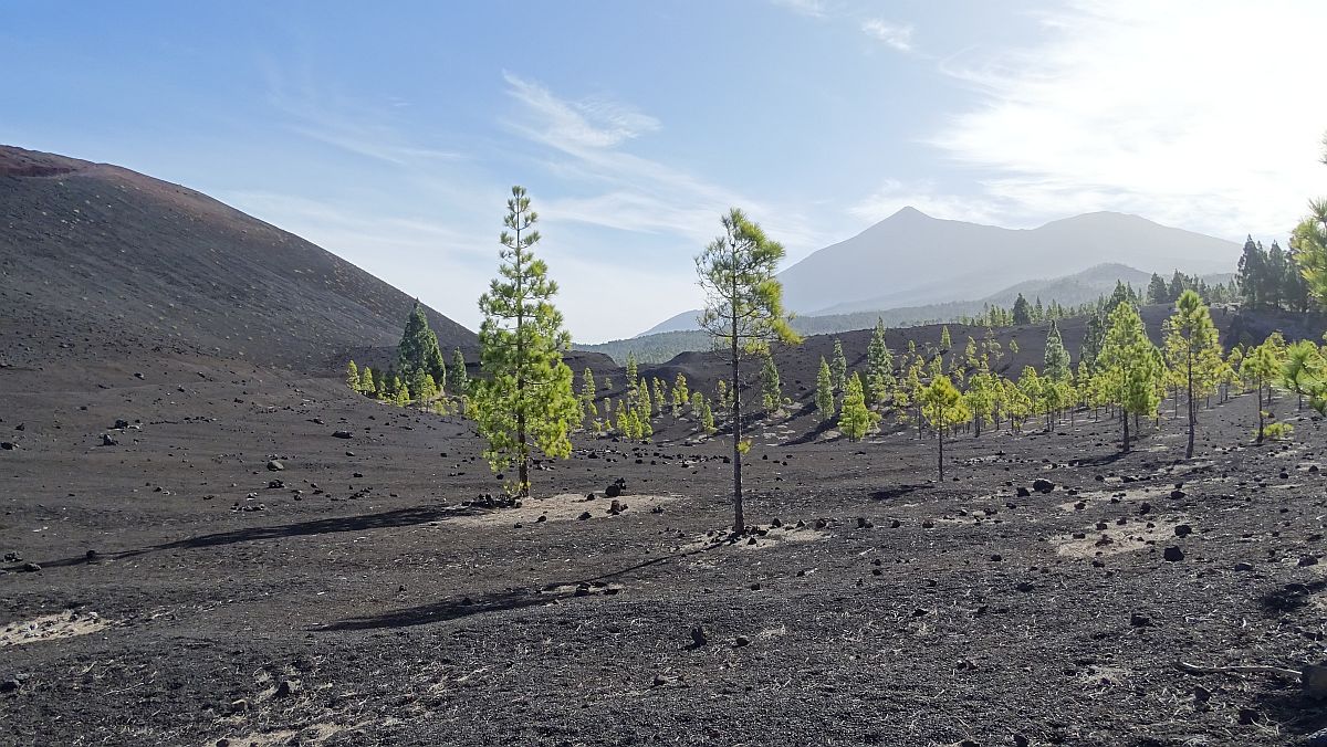 Montaña Negra