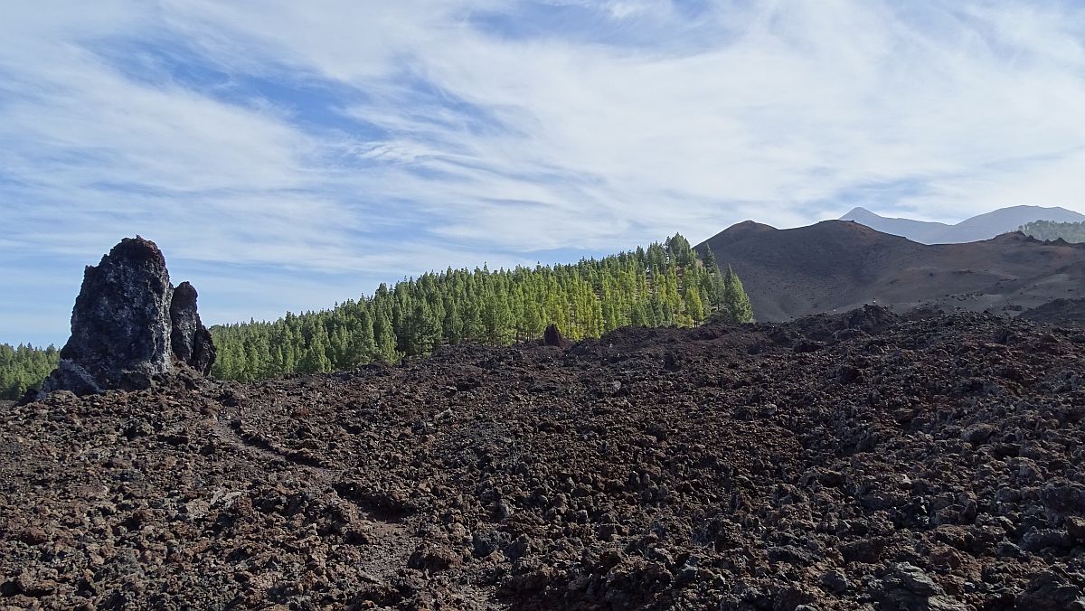 einzelner Felsen im Lavastrom des Chinyero