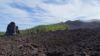 einzelner Felsen im Lavastrom des Chinyero