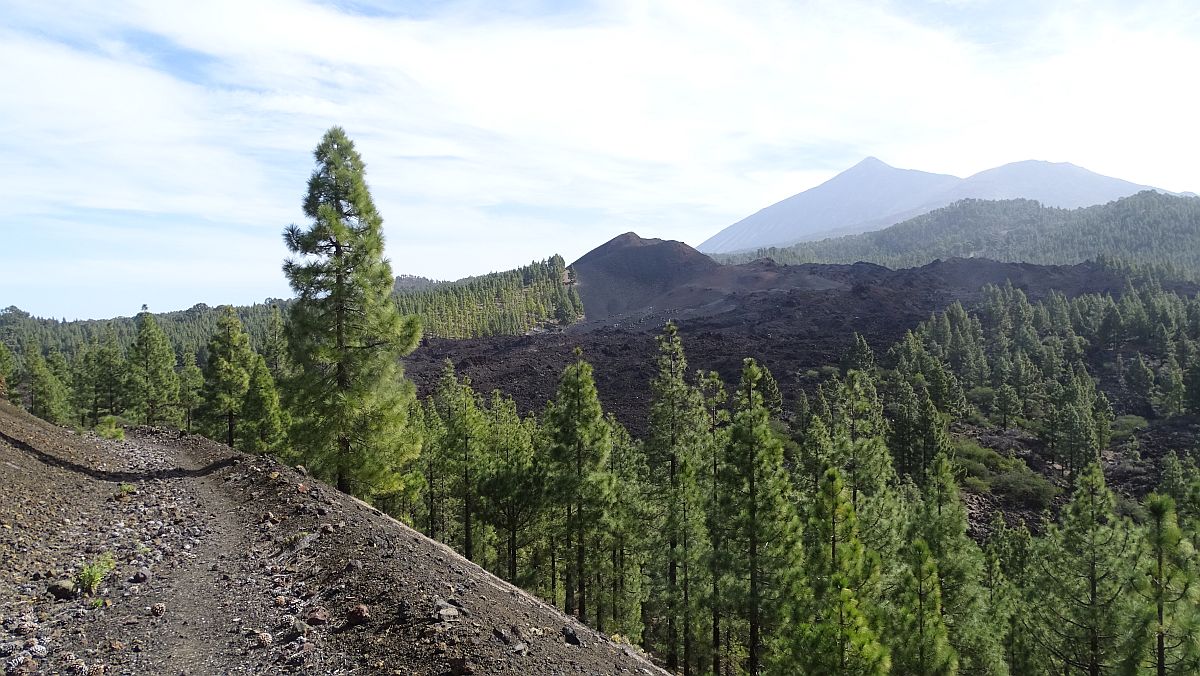 Aufstieg zum Montaña de la Cruz