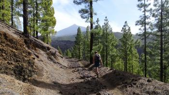 Abstieg vom Montaña de la Cruz