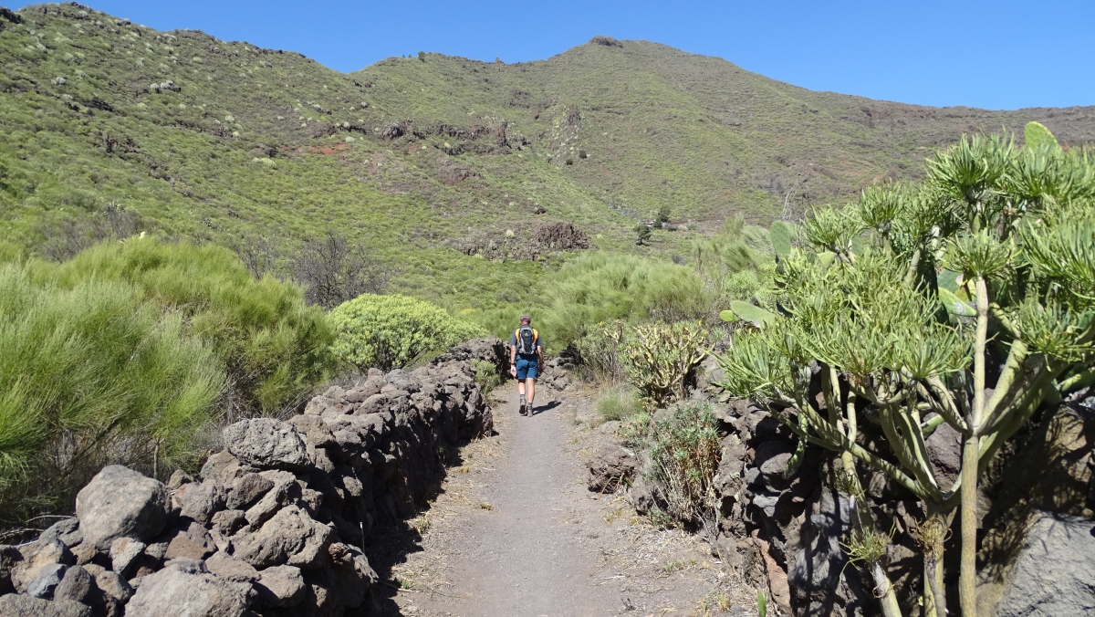 Weg zurück nach El Molledo