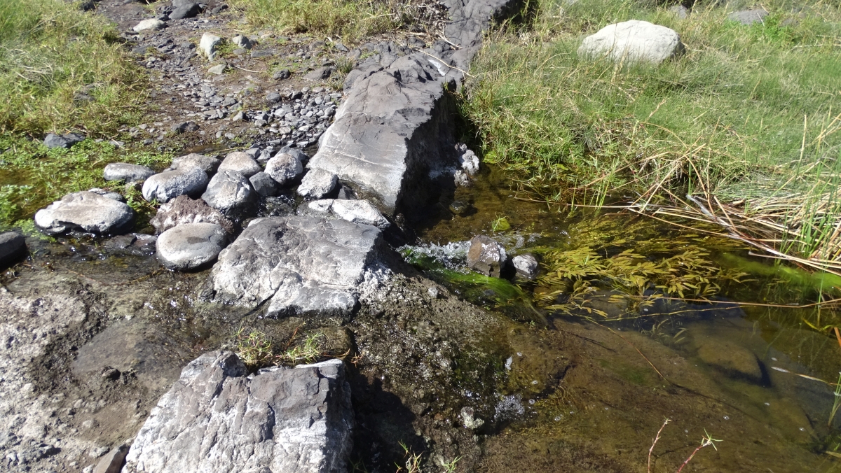 Bach im Barranco de Afur