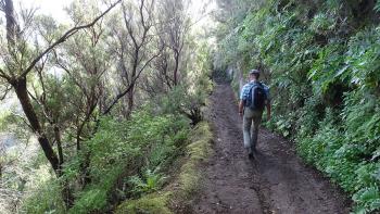 Abstieg nach Las Carboneras