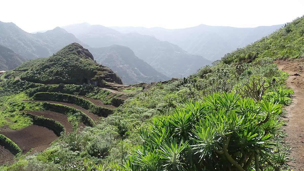 terrassierte Felder in Chinamada