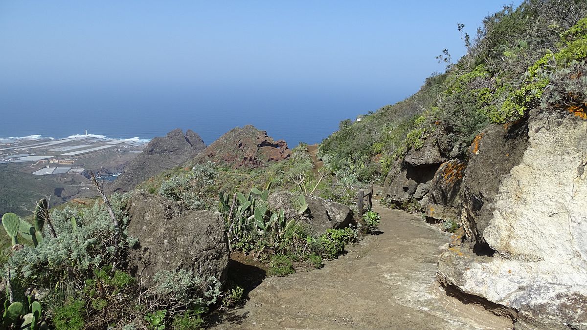 Blick zurück nach Punta del Hidalgo