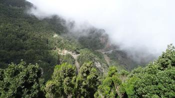 Straße in den Wolken, auf der geht es zurück ins Ferienhaus nach San Andrés