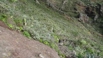 Abstieg im Barranco de Chamorga