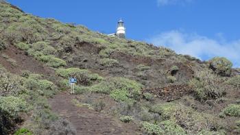 Aufstieg zum Leuchtturm