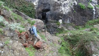 Quelle in der Steilküste (Fuente del Junquillo)