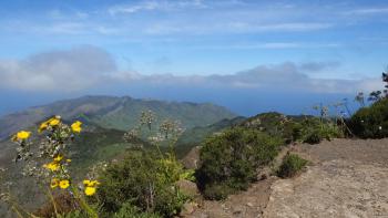 Blick nach Westen