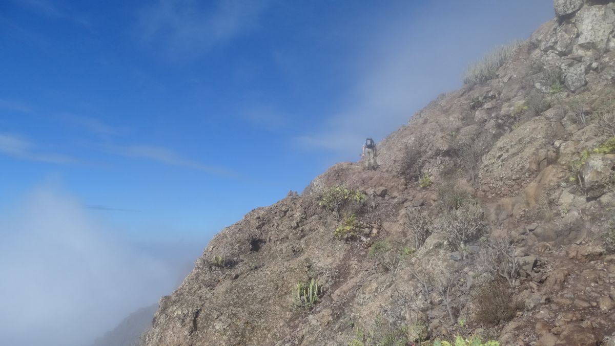 Weg zum blauen Himmel