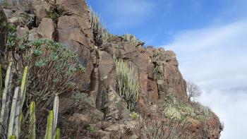 Steilwand des Conde mit Petroglyphen