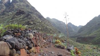 hier kommen wir morgen zurück- Barranco del Rio