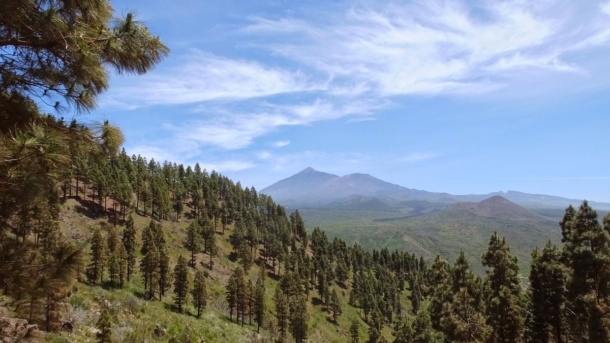 el Teide kommt wieder in Sicht