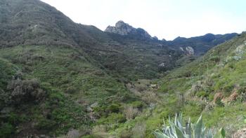 Barranco de Chamorga