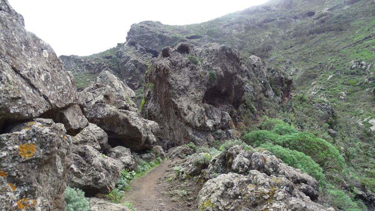 Barranco de Chamorga