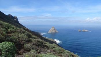 Roque de Dentro