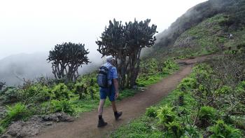 Weg zurück nach Chamorga