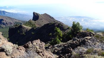 Pico cho Marcial, heute lieber nicht…