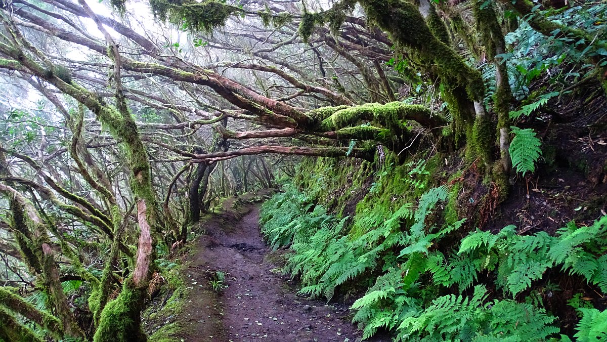 Wanderweg mit Dach