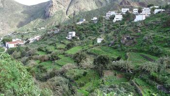 einige der wenigen bebauten Terrassenfelder auf Teneriffa