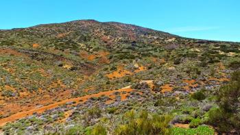 Montaña de Guamaso 