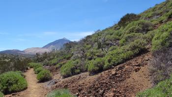 Montaña de Guamaso 