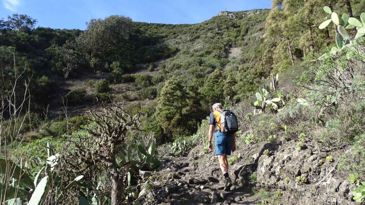 Aufstieg nach Teno Alto