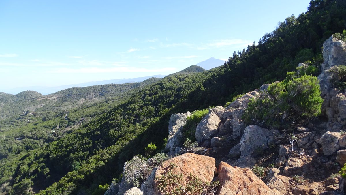 der Teide taucht auf