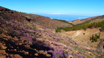 auf dem Weg in die Caldera