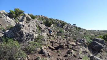 Camino de Baracán