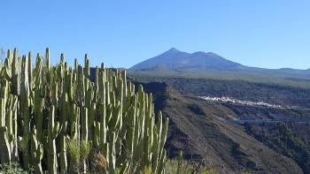 Teide