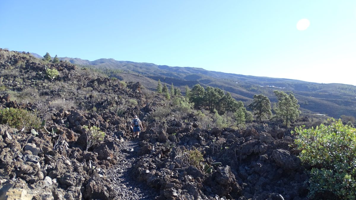 eher schroffe Gegend auf alten Lavafeldern