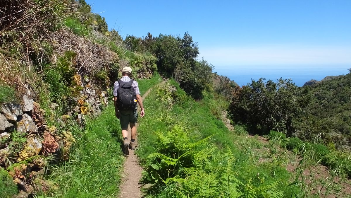 grüner Wanderweg