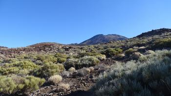da oben thront der kleine Bruder des Teide, der Pico Viejo, 3.134 Meter hoch