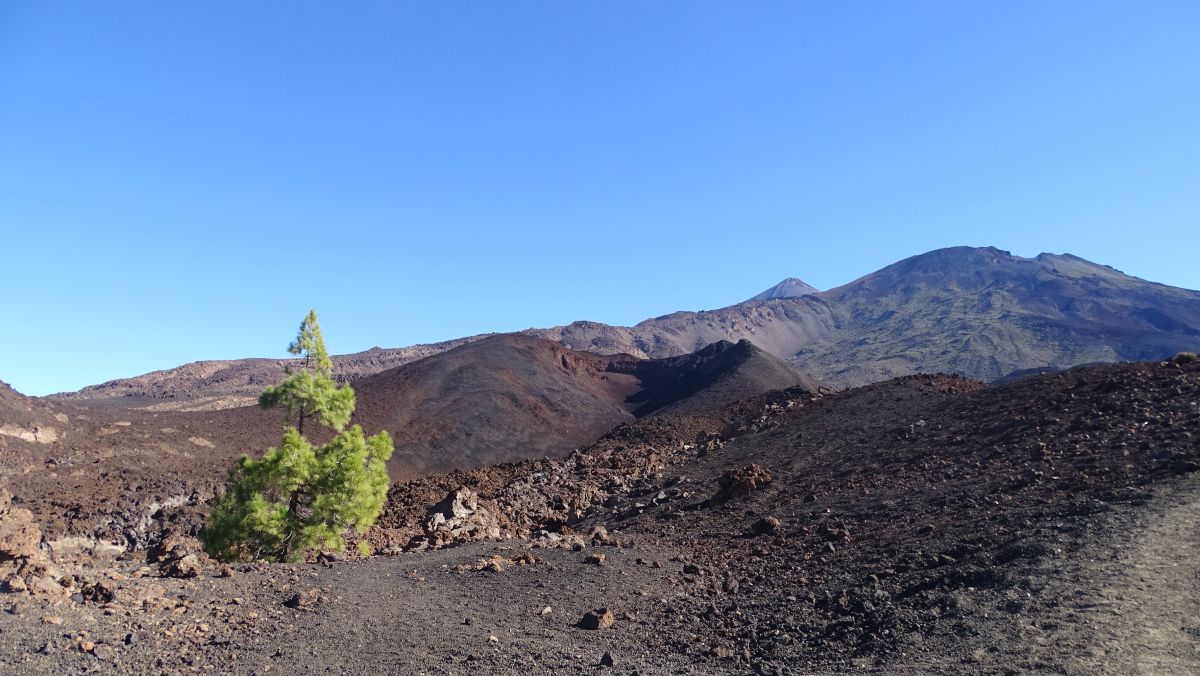 der Teide erscheint hinter dem Pico Viejo