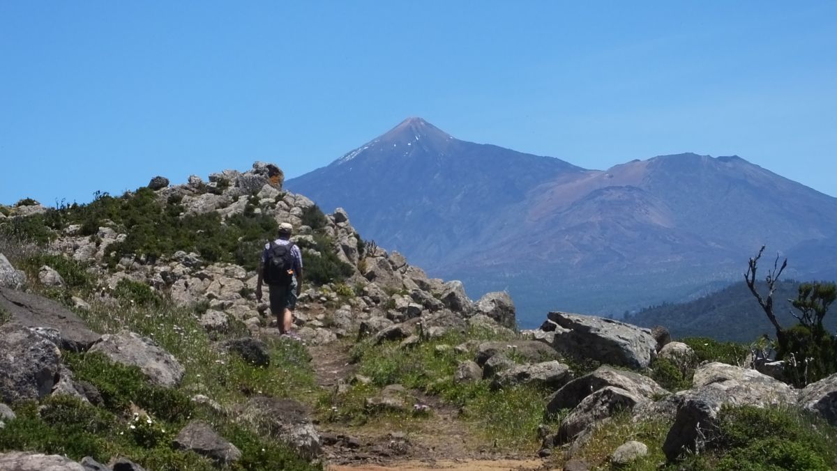 der Teide ist einfach nicht zu übersehen