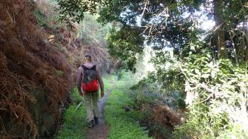 auf einem abgedeckten Wasserkanal